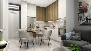 3Ventri-Kitchen